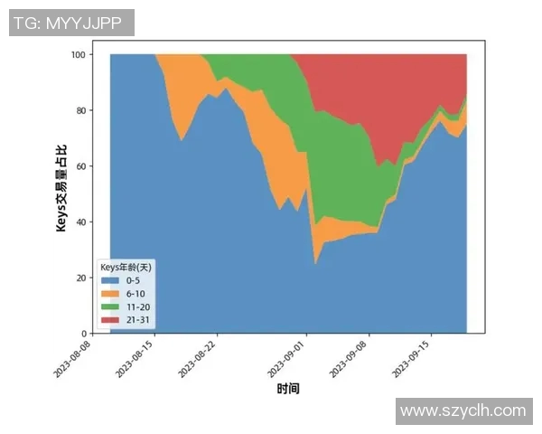 西安羽毛球队运营分析:成功经验与面临挑战的深度探讨