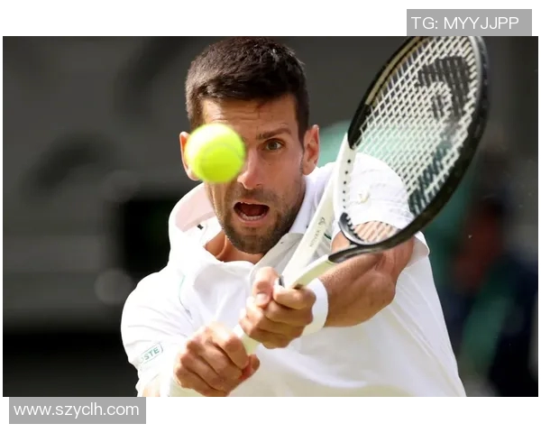 深圳网球队以74分稳居锦标赛积分榜首位争夺冠军形势乐观