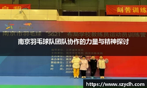 南京羽毛球队团队协作的力量与精神探讨